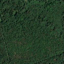 Satellite imagery of Dachsberg, DE