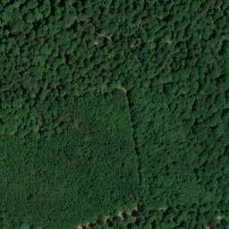 Satellite imagery of Beerberg, DE