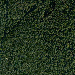 Satellite imagery of Gehäu, DE