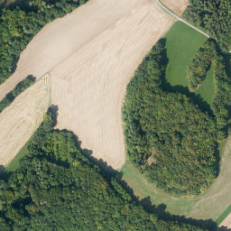 Satellite imagery of Burgstall, DE