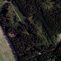 Satellite imagery of TP, CZ