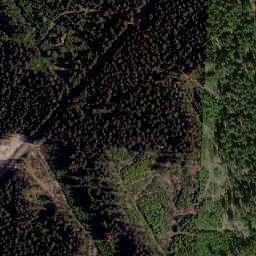 Satellite imagery of TP, CZ