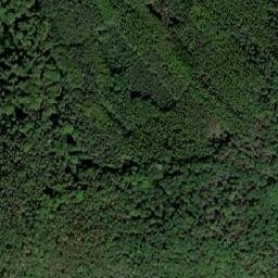 Satellite imagery of Dubová [Trubín], CZ