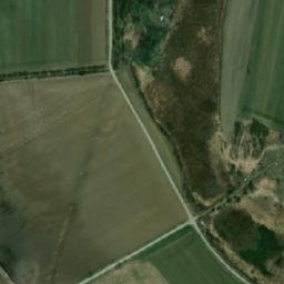 Satelita