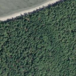 Satellite imagery of First Point, CA