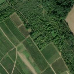 Satellite imagery of Landesgrenzstein 1577 Kur-Pfalz - Kur-Mainz, FR