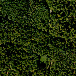 Satellite imagery of Steinberg, DE