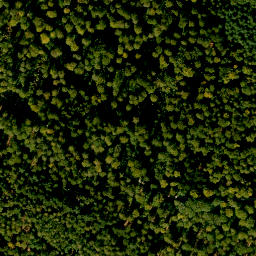 Satellite imagery of Steinberg, DE