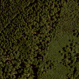 Satellite imagery of Höhenberg, DE