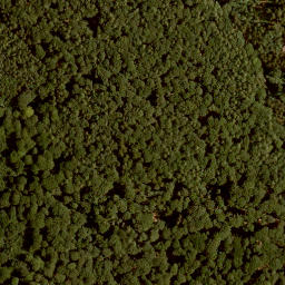 Satellite imagery of Höhenberg, DE