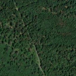 Satellite imagery of Dachsberg, DE