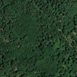 Satellite imagery of Dachsberg, DE