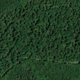 Satellite imagery of Beerberg, DE