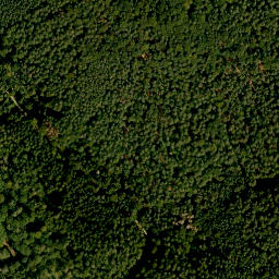 Satellite imagery of Scheidberg, DE