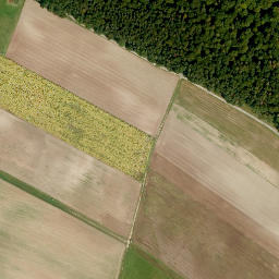 Satellite imagery of Scheidberg, DE