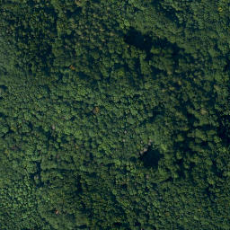Satellite imagery of Buchleite, DE