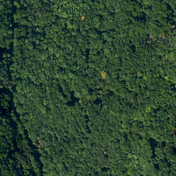 Satellite imagery of Buchleite, DE