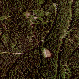 Satellite imagery of Platte (südlicher Hochwald), DE