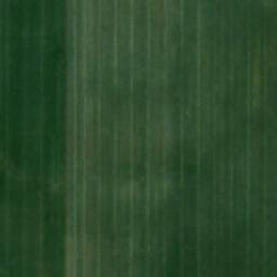 Satellite imagery of Divá hůra [Stěbořice], CZ