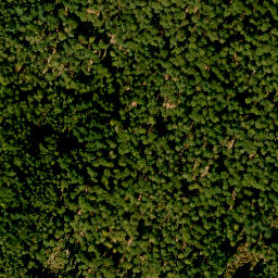 Satellite imagery of Steinberg, DE