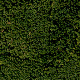 Satellite imagery of Steinberg, DE