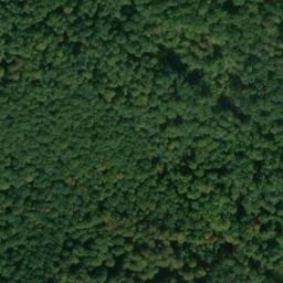 Satellite imagery of Müdesheim-Reuchelheim-Gramschatzer Wald, DE