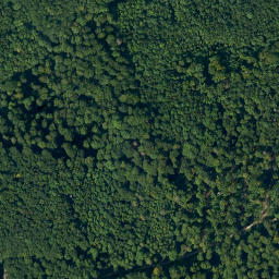 Satellite imagery of Buchleite, DE