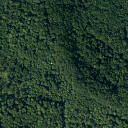Satellite imagery of Buchleite, DE