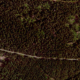 Satellite imagery of Platte (südlicher Hochwald), DE
