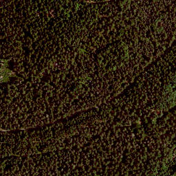Satellite imagery of Platte (südlicher Hochwald), DE