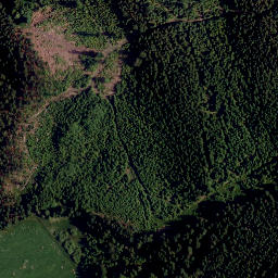 Satellite imagery of TP, CZ