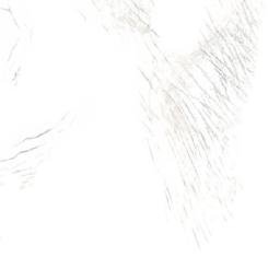Satellite imagery of Phyllis's Engine, CA