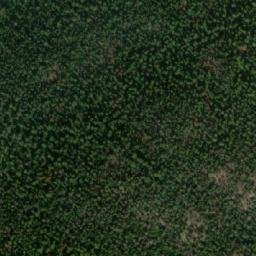 Satellite imagery of Mount Gottfriedsen, CA