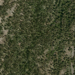 Satellite imagery of Mount Hayman, CA