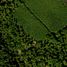 Satellite imagery of Tanzplatz, DE