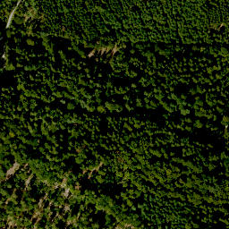 Satellite imagery of Langer Rain, DE