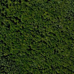 Satellite imagery of Erlachberg, DE