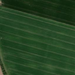 Satellite imagery of [Suchdol-Dobřeň] church t., CZ