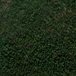 Satellite imagery of Mount Gottfriedsen, CA