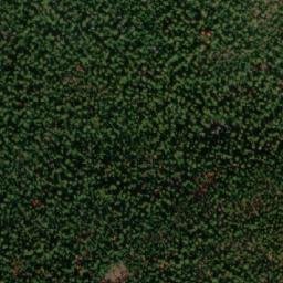 Satellite imagery of Mount Gottfriedsen, CA