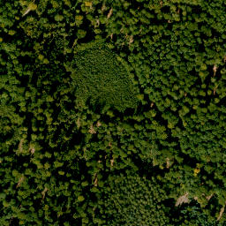 Satellite imagery of Tanzplatz, DE