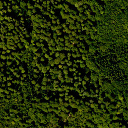 Satellite imagery of Hoher Knuck, DE