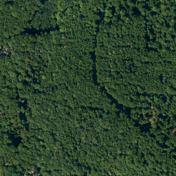 Satellite imagery of Schammelsberg, DE