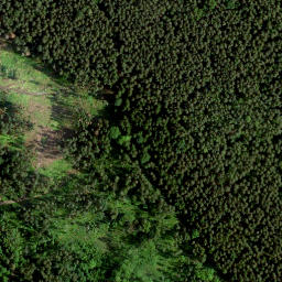 Satellite imagery of Pensenberg, DE