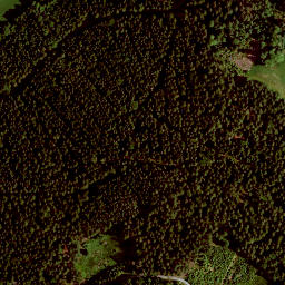 Satellite imagery of Tannenberg, DE