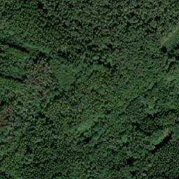 Satellite imagery of (Vraní les) [Svatá], CZ