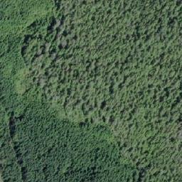 Satellite imagery of Mushroom Point, CA