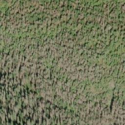 Satellite imagery of Mount Judson, CA