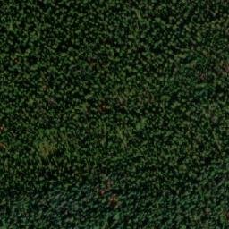 Satellite imagery of Mount Gottfriedsen, CA