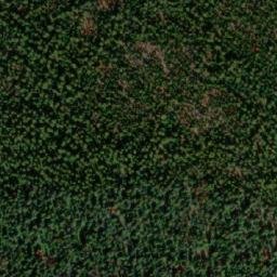 Satellite imagery of Mount Gottfriedsen, CA